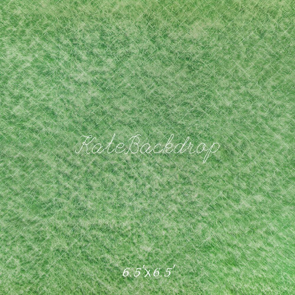 Kate Spring Green Grass Floor Backdrop Backdrop Designed by Emetselch