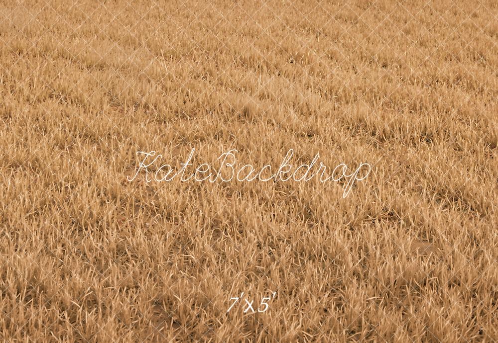 Kate Fall Withered Grass Field Floor Printed Backdrop Designed by Kate Image