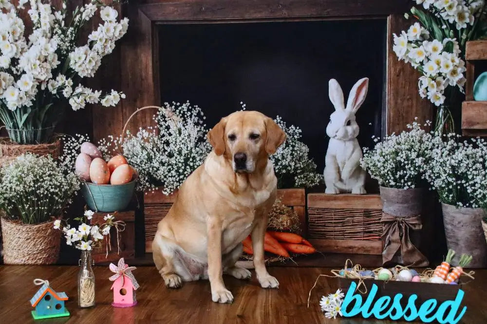 Fondo Rústico Floral de Conejo de Chimenea de Pascua diseñado por Emetselch