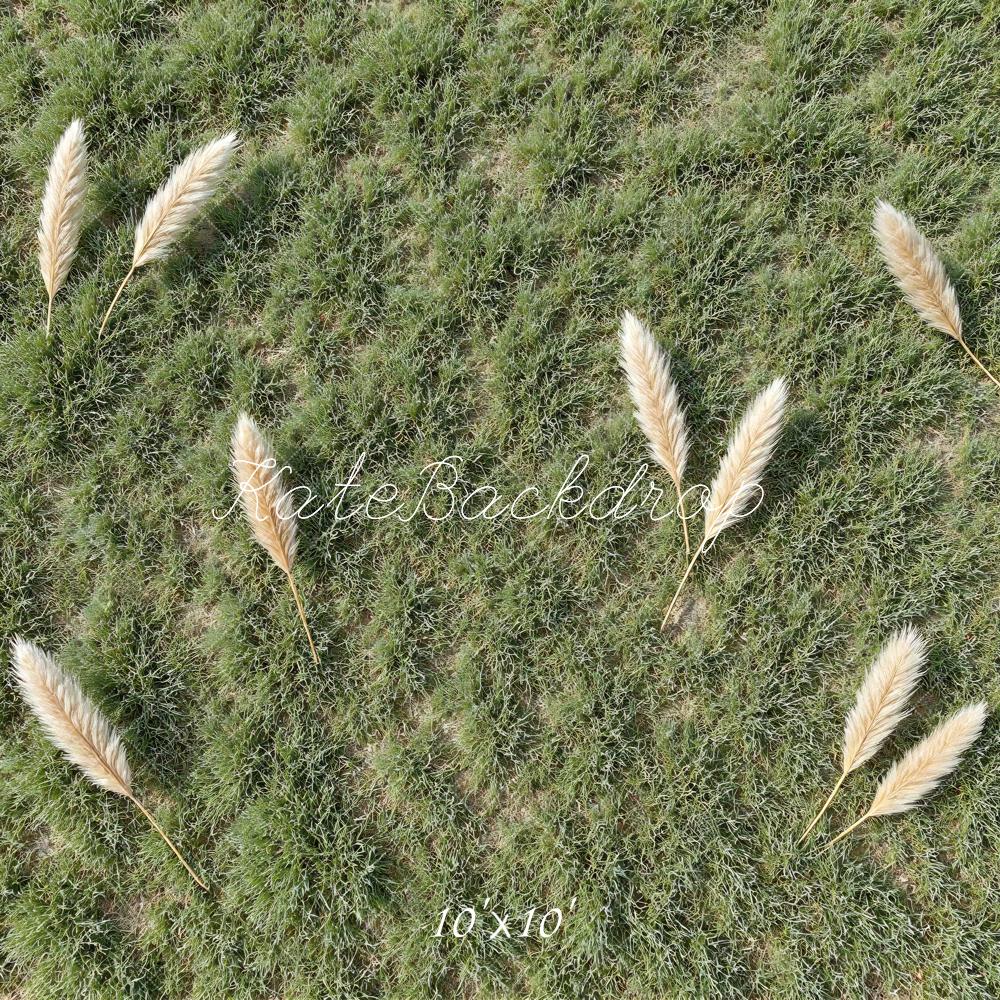 Kate Green Grass Pampas Grass Floor Printed Backdrop Designed by Mini MakeBelieve