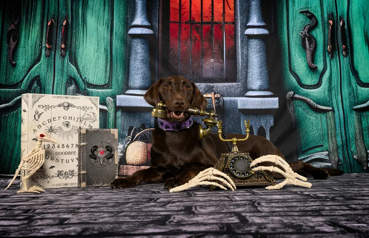 Halloween Green Door Street Pumpkin Backdrop Progettato da GQ