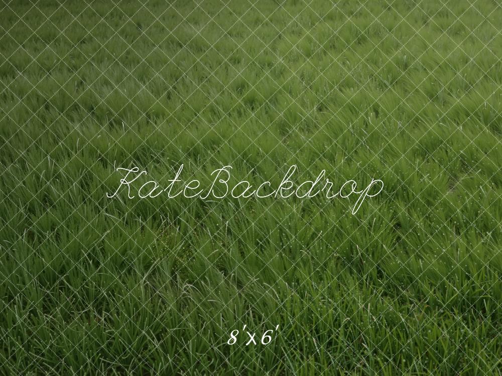 Kate Green Grass Field Floor Printed Backdrop Designed by Kate Image