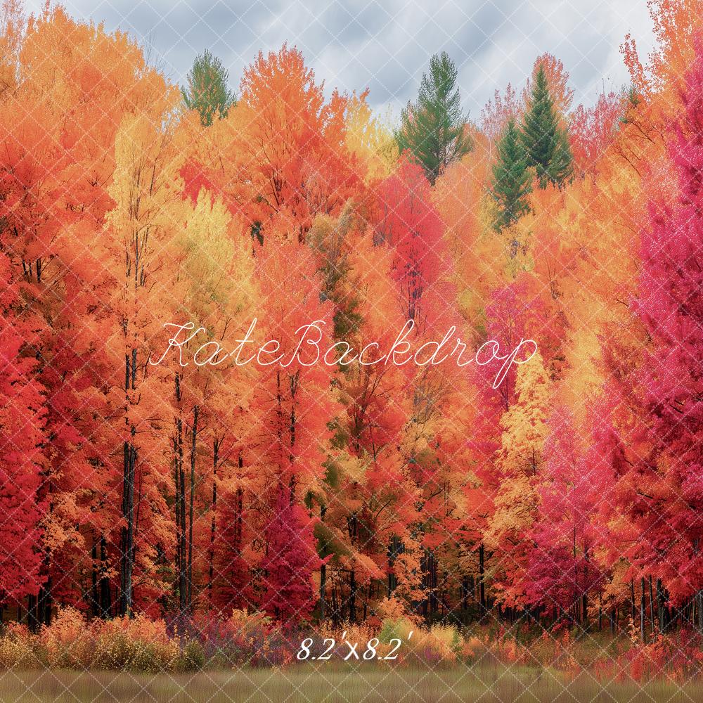 Kate Fall Orange Red Forest Trees Printed Backdrop Designed by Angela Miller