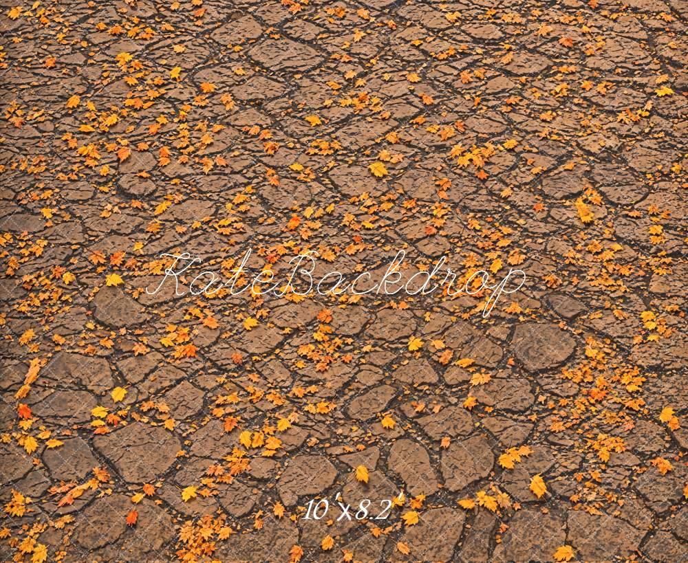Kate Fall Fallen Leaves On Ground Backdrop Designed by Emetselch