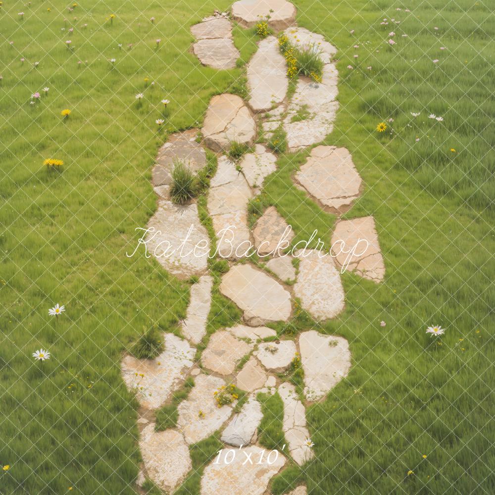 Kate Stone Pathway With Daisies On Green Grass Floor Backdrop Designed by Emetselch