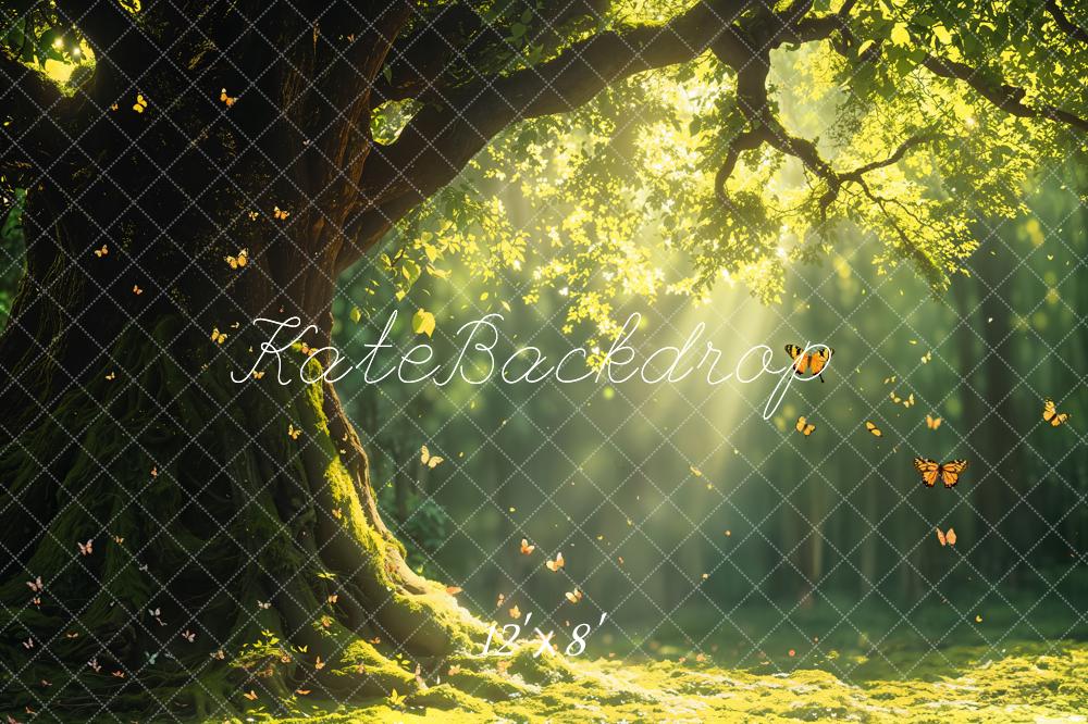 Fondo de Luz Solar del Árbol del Bosque de Hadas