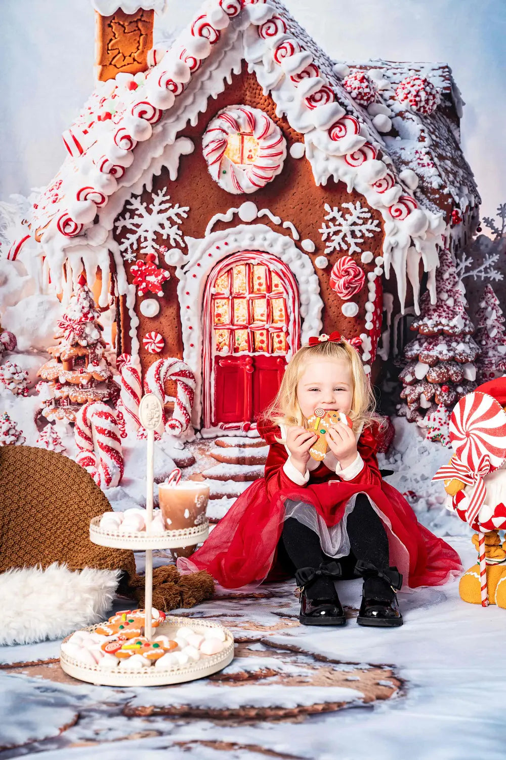 Kate Christmas Hot Cocoa Photo Kit Photography Backdrops&Props Themed Bundle