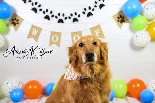 Katebackdrop鎷㈡綖Kate Neutral Dog Balloons Decorations Backdrop Designed by AAE Photography