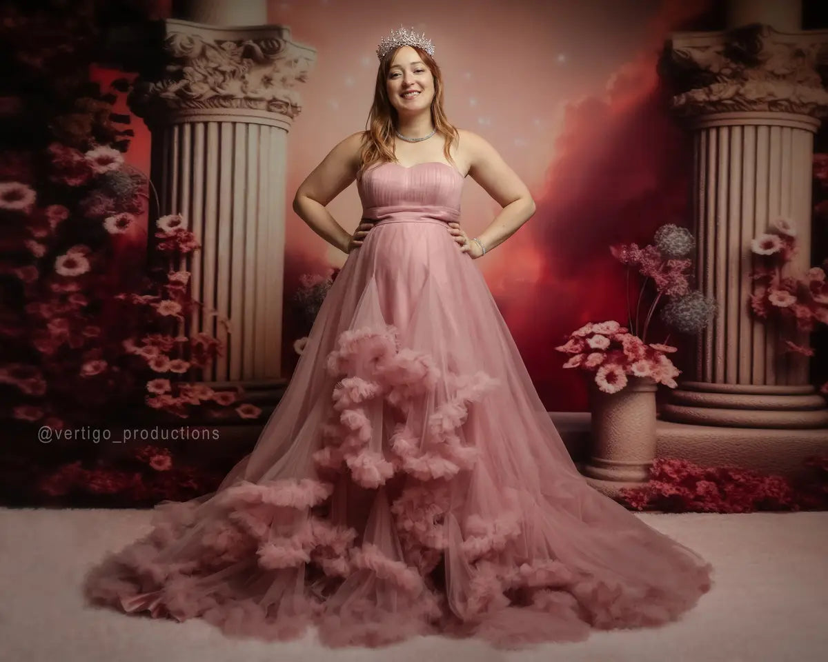 Kate Mesh Red Maternity Photoshoot Dress