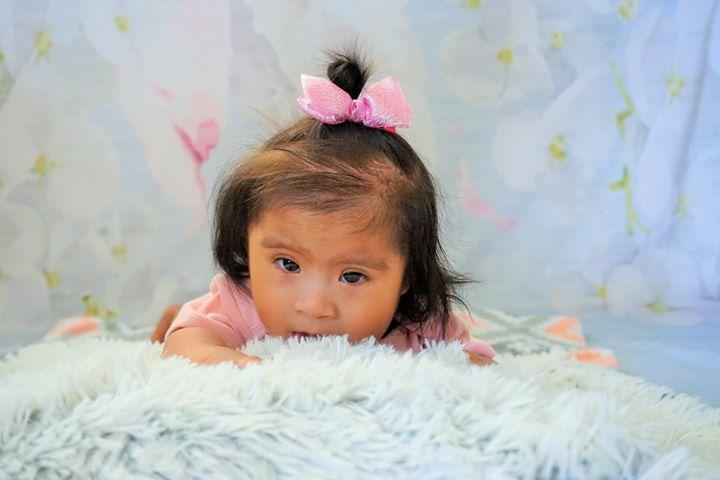 Katebackdrop£ºKate Watercolor White Floral Fresh Backdrop Designed By Jerry_Sina