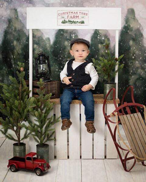 Katebackdrop£ºKate Dazzling Winter Snowy Forest Backdrop for Photography Designed by Modest Brushes