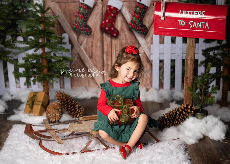 Kate Christmas Winter Snow Fence Door Backdrop Designed by Emetselch - Kate Backdrop
