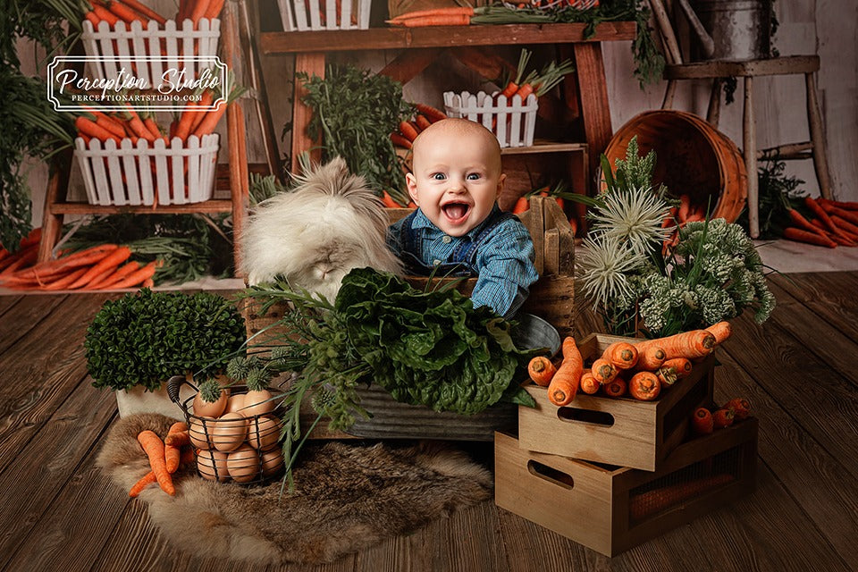 Kate Spring\Easter Carrots Children Backdrop Designed By Mandy Ringe Photography - Kate Backdrop
