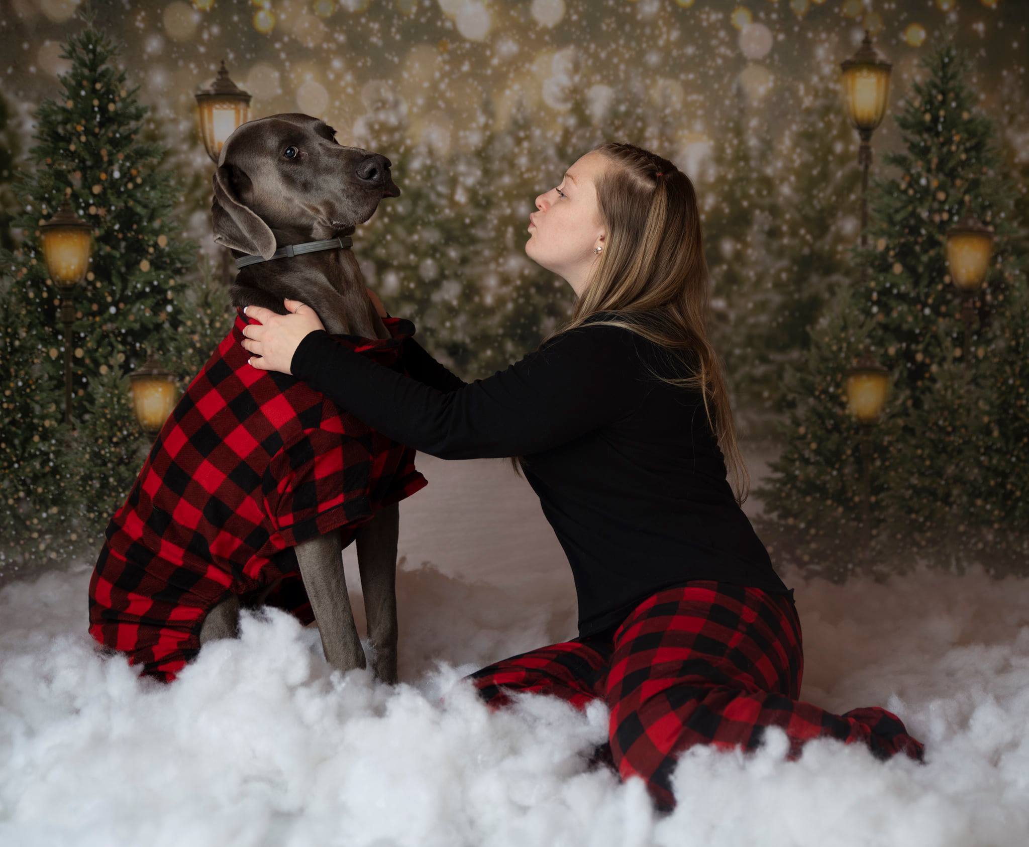 Kate Christmas Snow Forest Lights Backdrop for Photography - Kate Backdrop