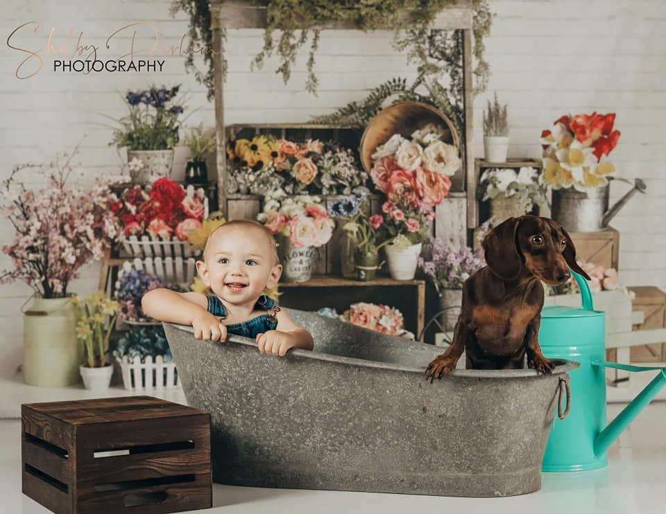 Kate Spring Flower Stand Backdrop Designed By Mandy Ringe Photography - Kate Backdrop