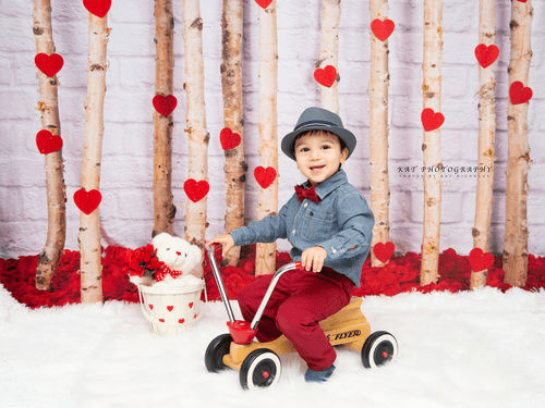 Katebackdrop鎷㈡綖Kate Valentine's Day Roses Wooden Stick Backdrop Designed by Jia Chan Photography
