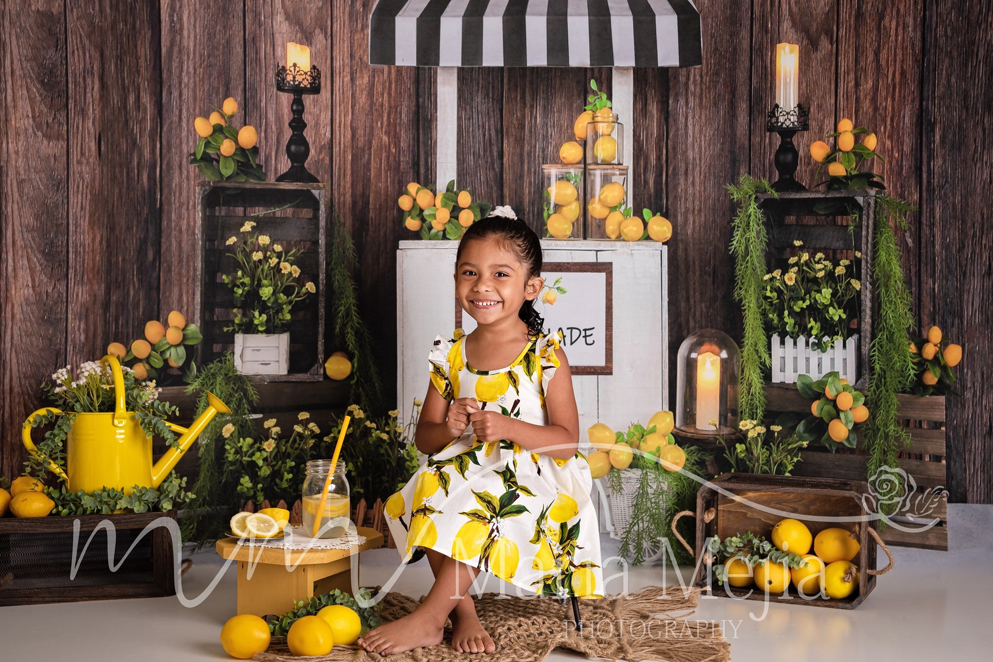 Kate Summer Lemon Stand Backdrop Designed by Jia Chan Photography - Kate Backdrop