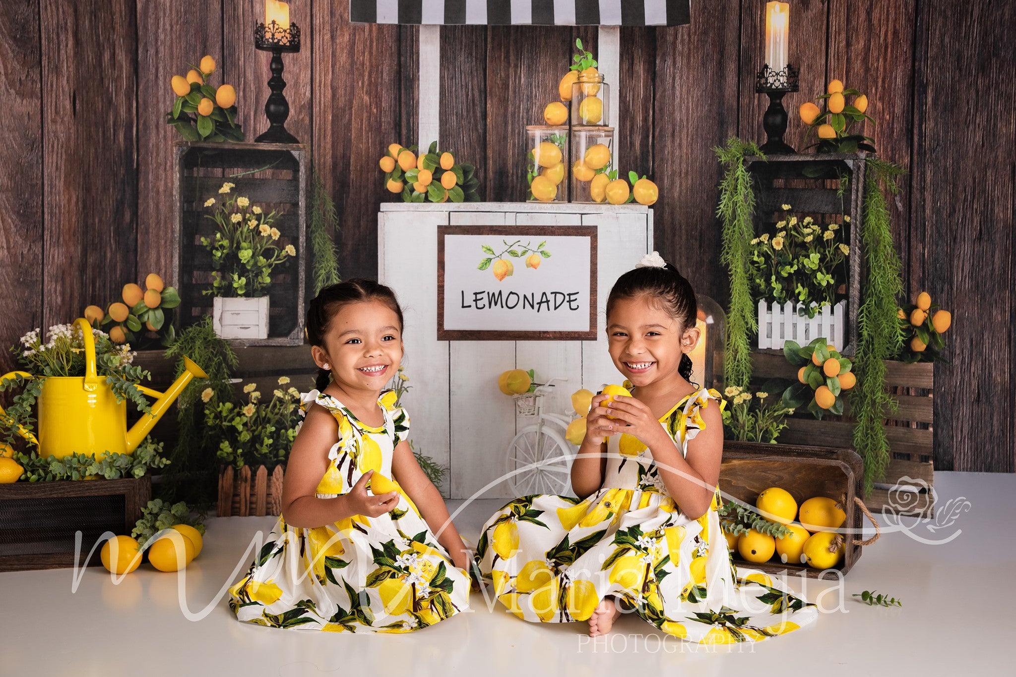 Kate Summer Lemon Stand Backdrop Designed by Jia Chan Photography - Kate Backdrop