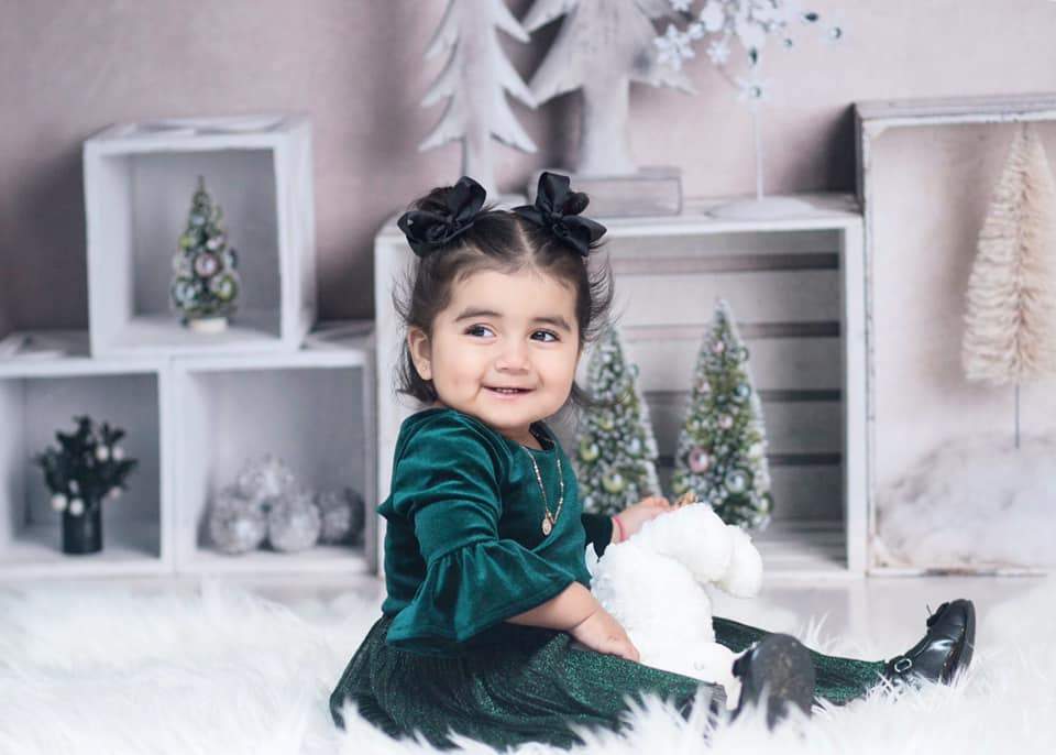 Katebackdrop£ºKate Elegant Christmas Winter Display Backdrop for Photography Designed By Mandy Ringe Photography