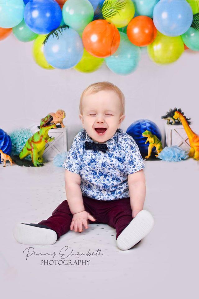 Katebackdrop£ºKate Dinosaur Birthday with Balloons Backdrop for Photography Designed By Mandy Ringe Photography