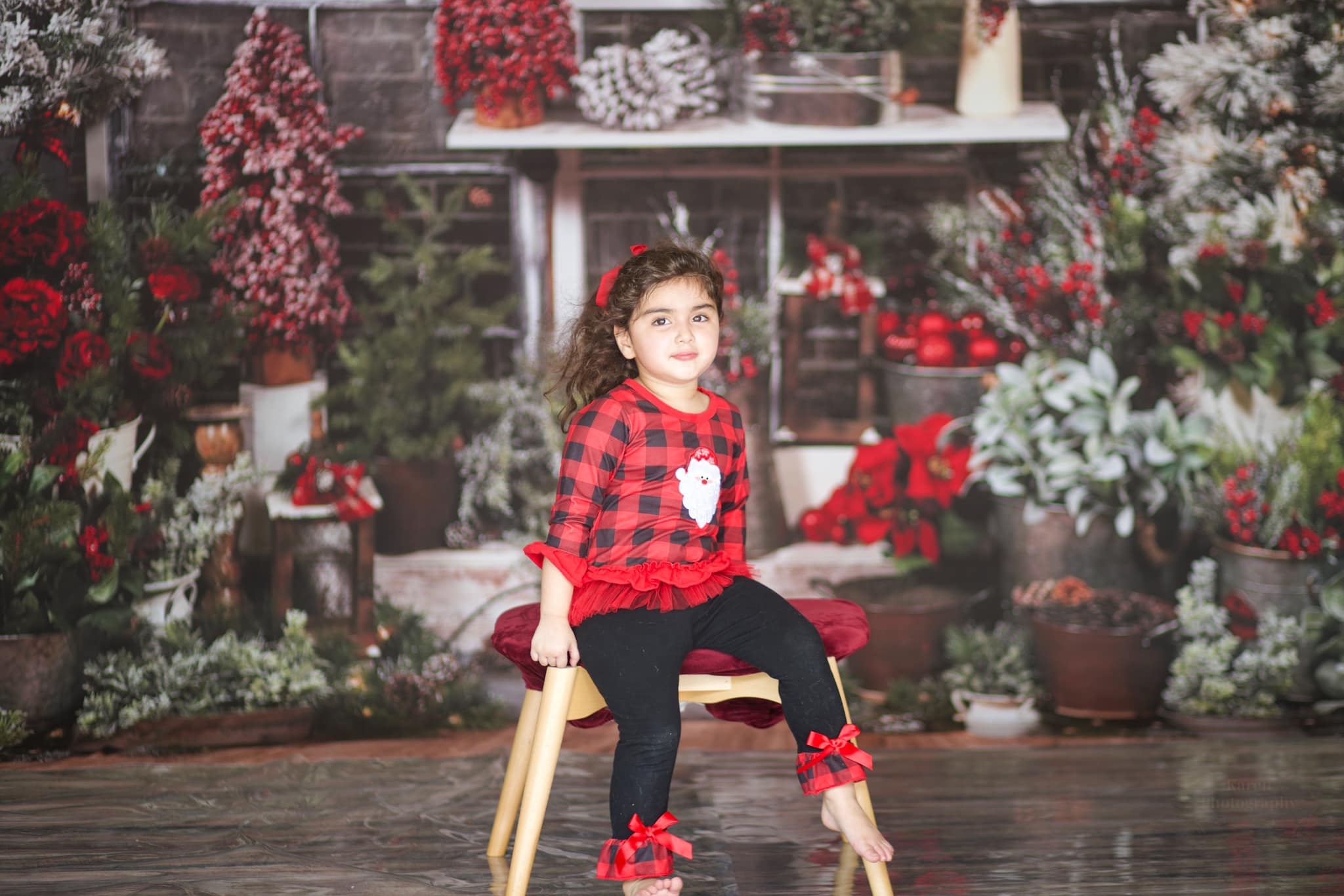 Kate Christmas Tree Wood House Winter Backdrops Designed by Arica Kirby - Kate Backdrop