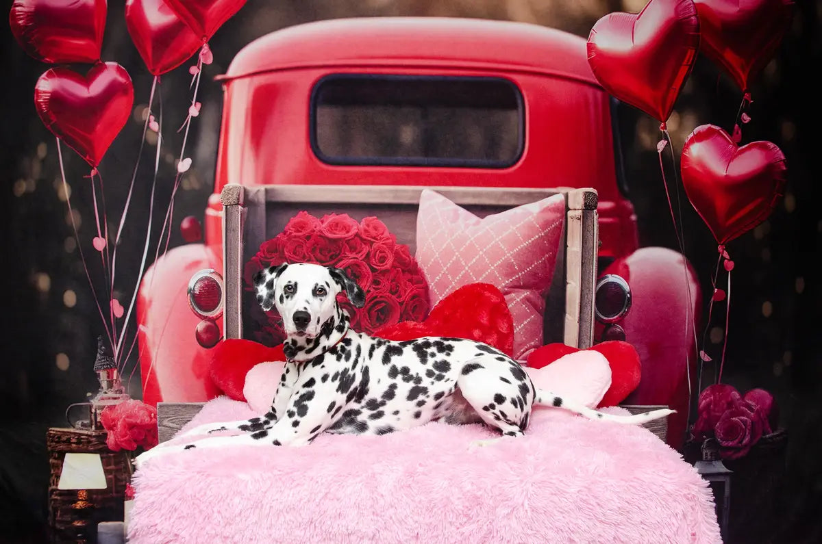 Kate Pet Valentine's Day Love Balloon Truck Backdrop Designed by Chain Photography