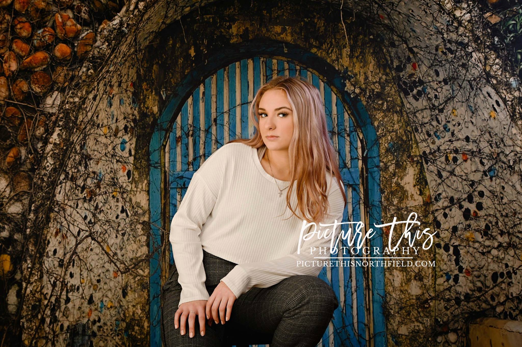 Katebackdrop£ºKate Cool Blue Barn Door Backdrop designed by Jerry_Sina