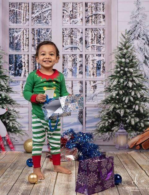 Katebackdrop£ºKate Christmas Trees Window Snow View Backdrop Designed By Jerry_Sina