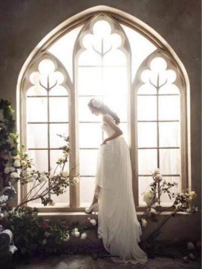 Katebackdrop鎷㈡綖Kate Flowers Window Backdrops for Photographers Wedding