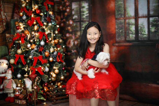 Kate Christmas Tree Photography Backdrop Piano Photo Background - Katebackdrop