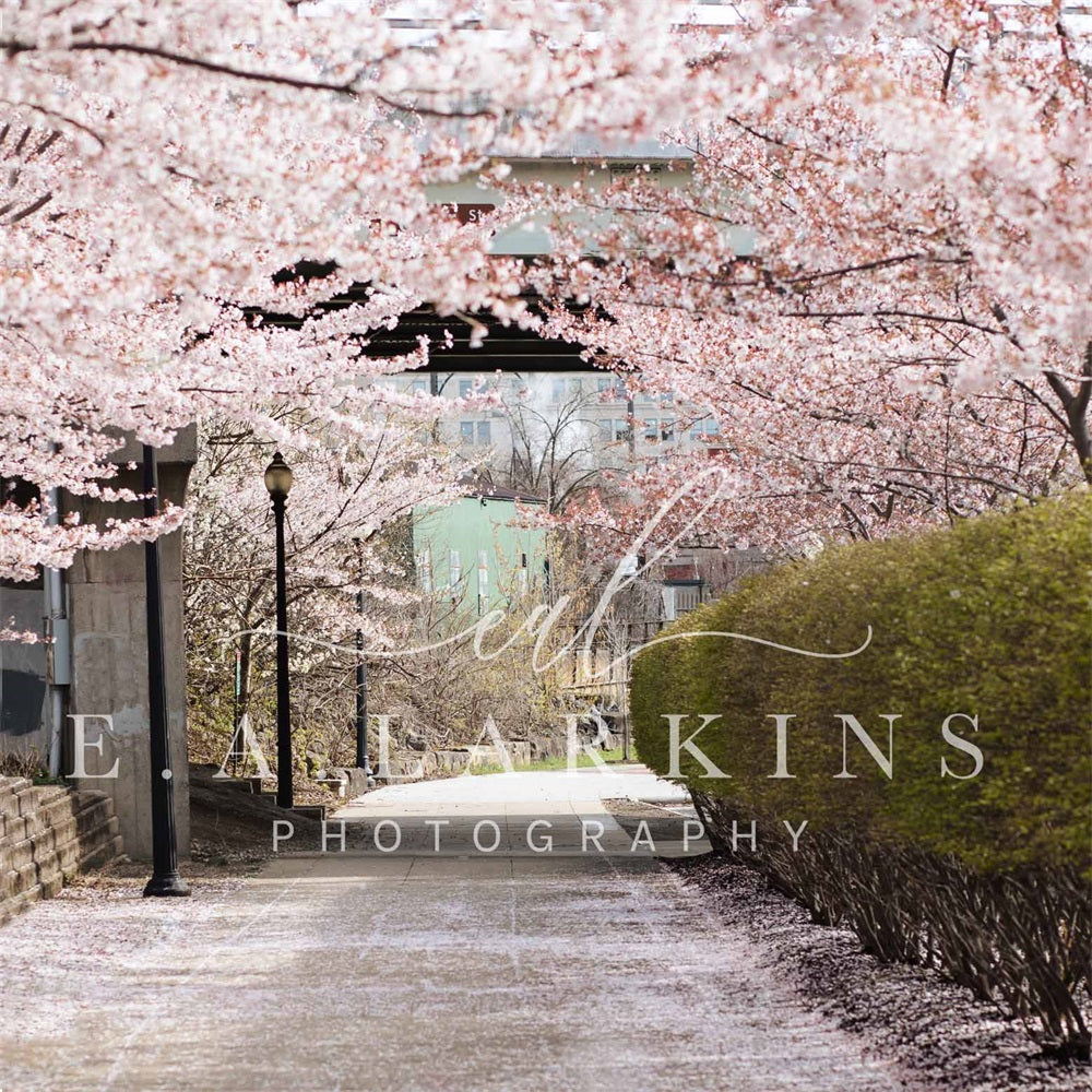 Kate Summer Cherry Blossom Archway Backdrop for Photography Designed by Erin Larkins