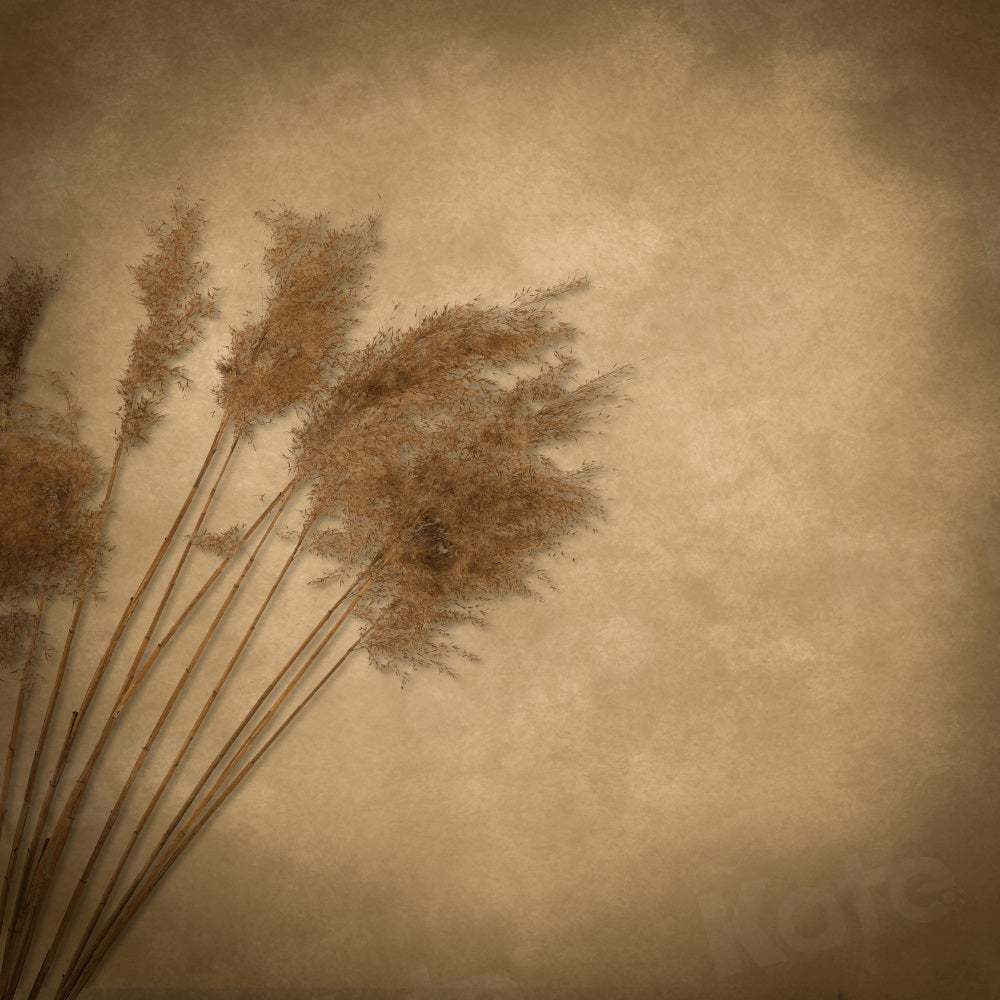 Sfondo beige per fotografia