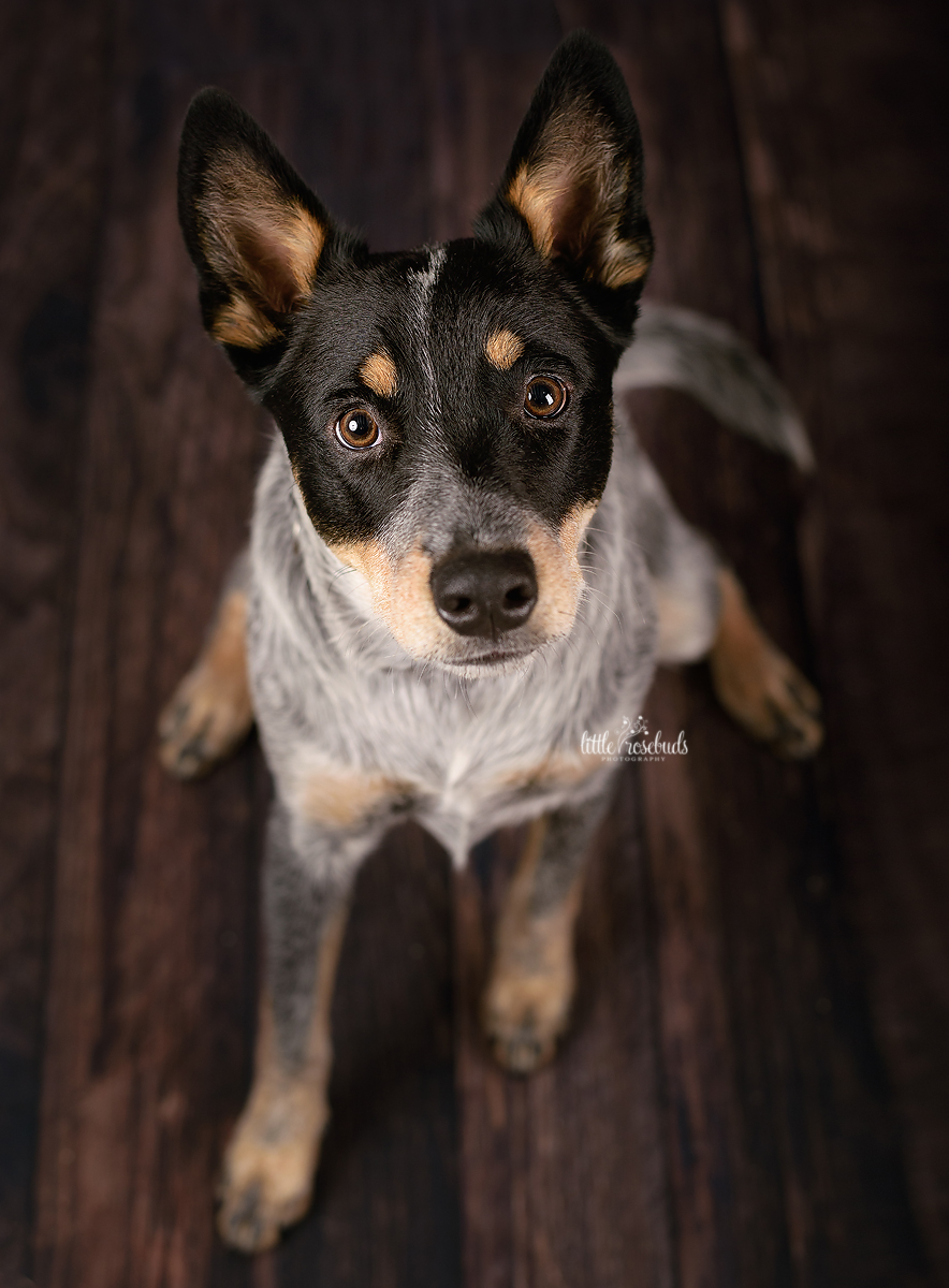 Kate Retro Wood Brown Rubber Floor Mat - Kate Backdrop