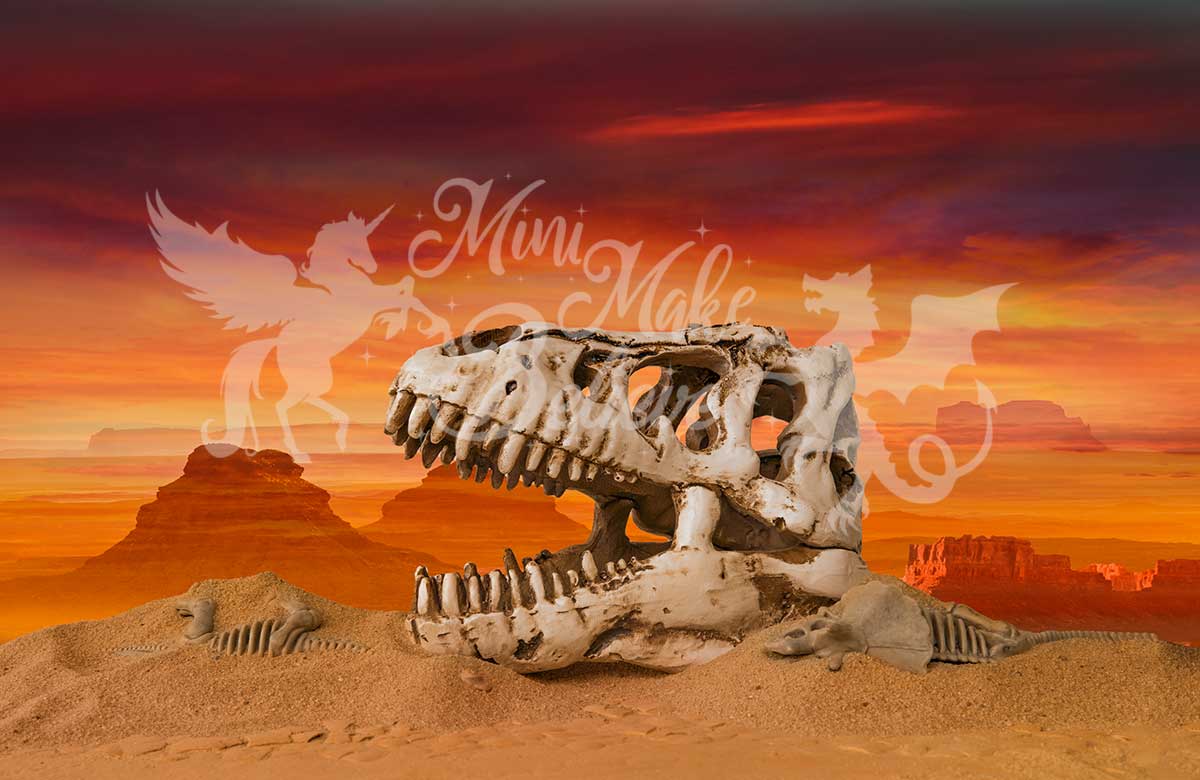 Kate Dino Skull Skeleton Desert Paleontologist Scientist Boy Birthday Backdrop for Photography Designed by Mini MakeBelieve - Kate Backdrop