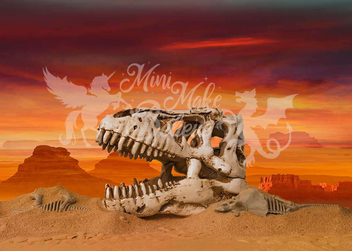 Kate Dino Skull Skeleton Desert Paleontologist Scientist Boy Birthday Backdrop for Photography Designed by Mini MakeBelieve - Kate Backdrop