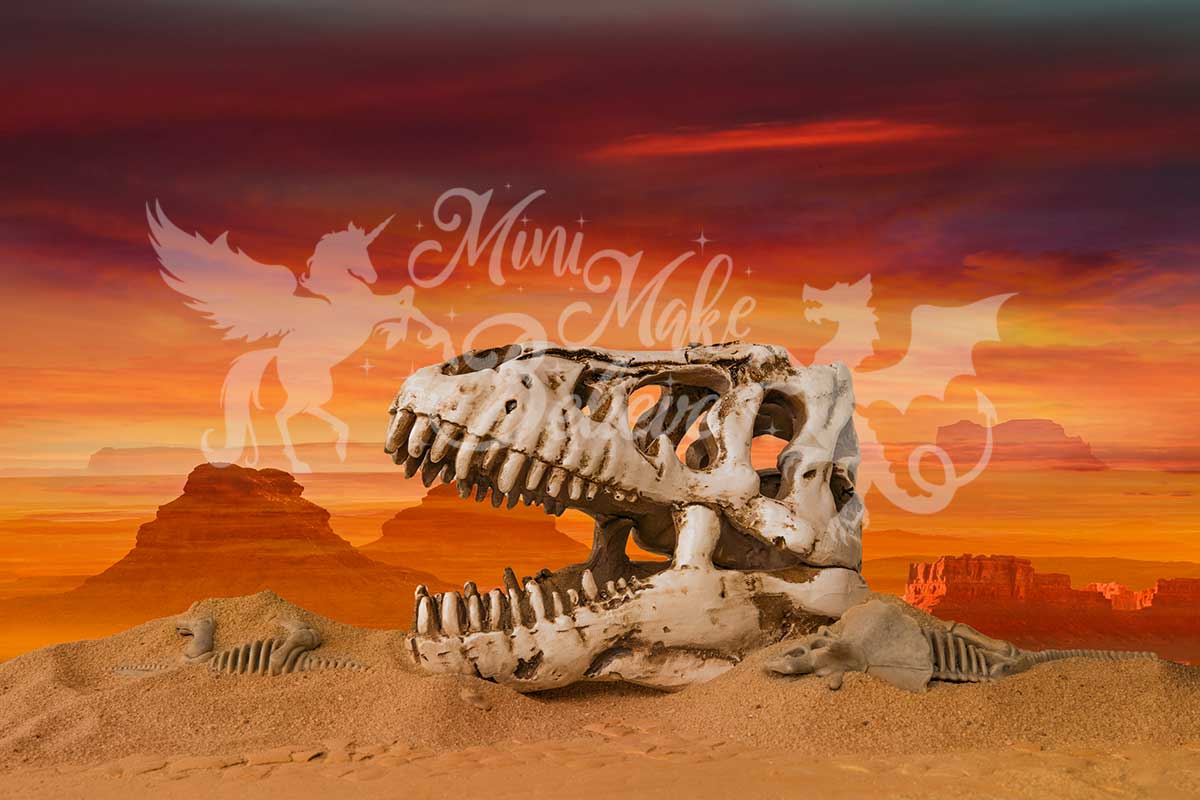 Kate Dino Skull Skeleton Desert Paleontologist Scientist Boy Birthday Backdrop for Photography Designed by Mini MakeBelieve - Kate Backdrop