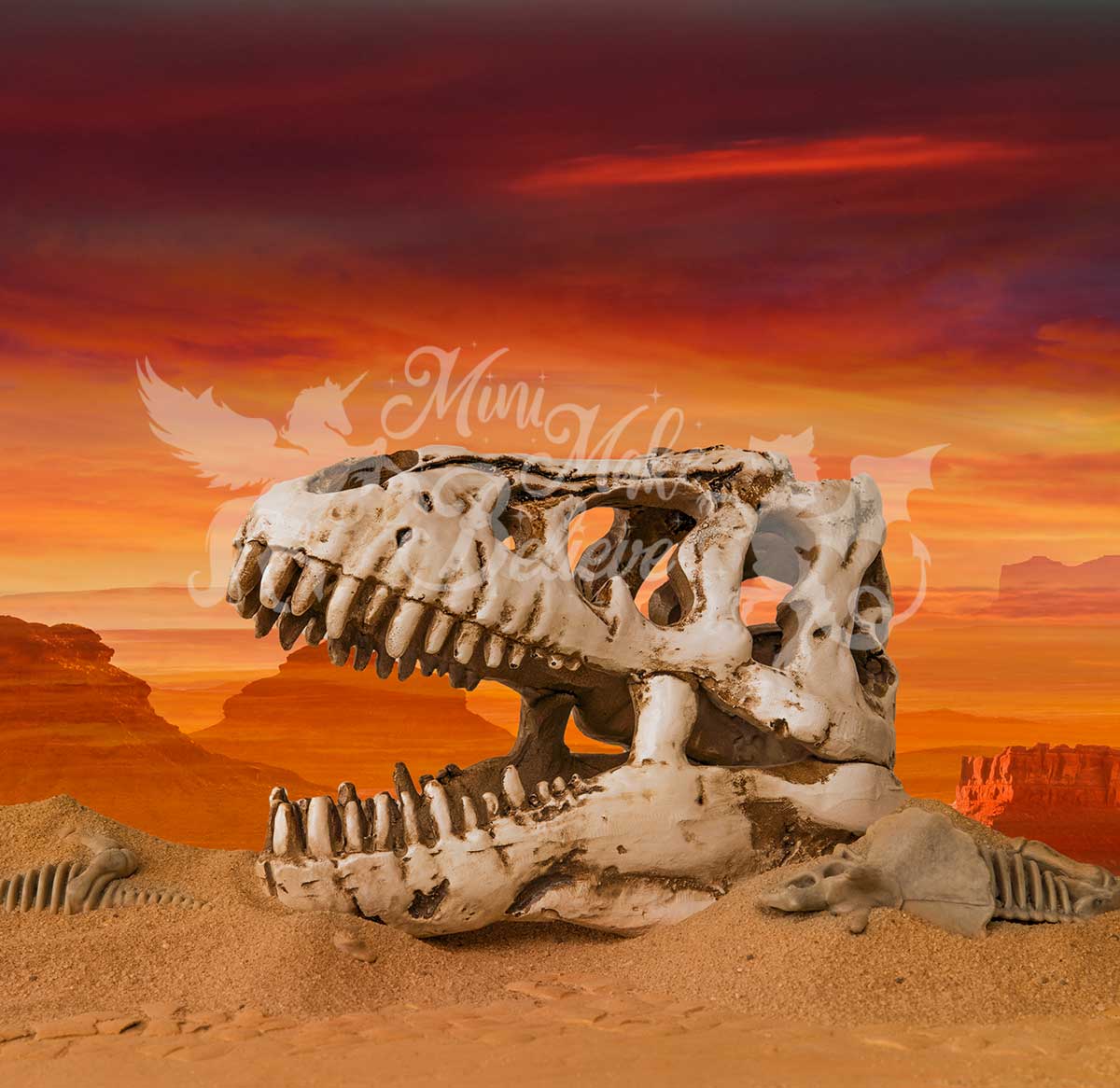 Kate Dino Skull Skeleton Desert Paleontologist Scientist Boy Birthday Backdrop for Photography Designed by Mini MakeBelieve - Kate Backdrop