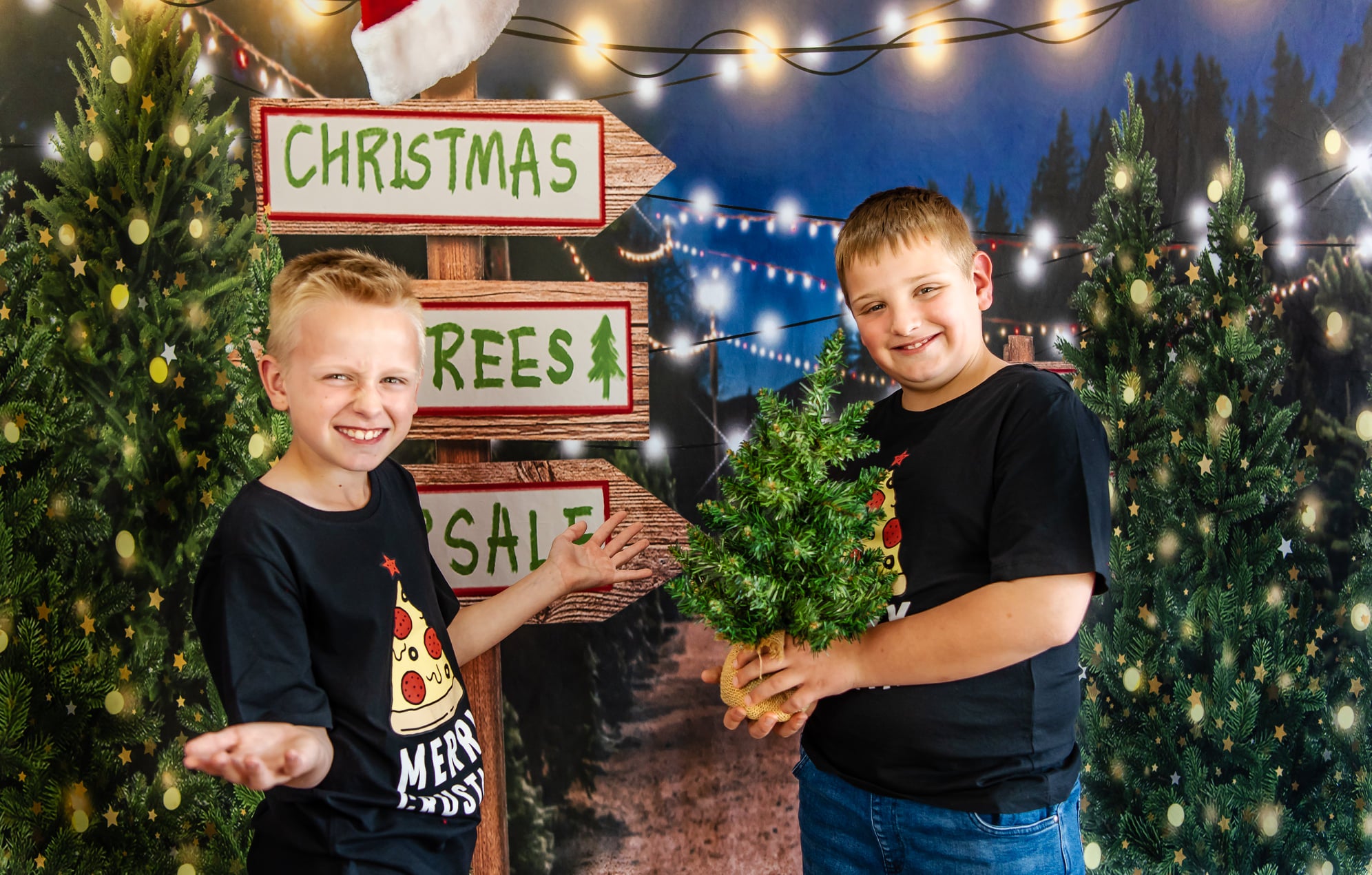 Kate Christmas Trees Winter Backdrop Designed by Emetselch - Kate Backdrop