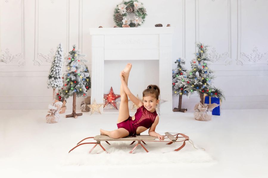 Kate Christmas Closet Winter Backdrop for Photography - Kate Backdrop