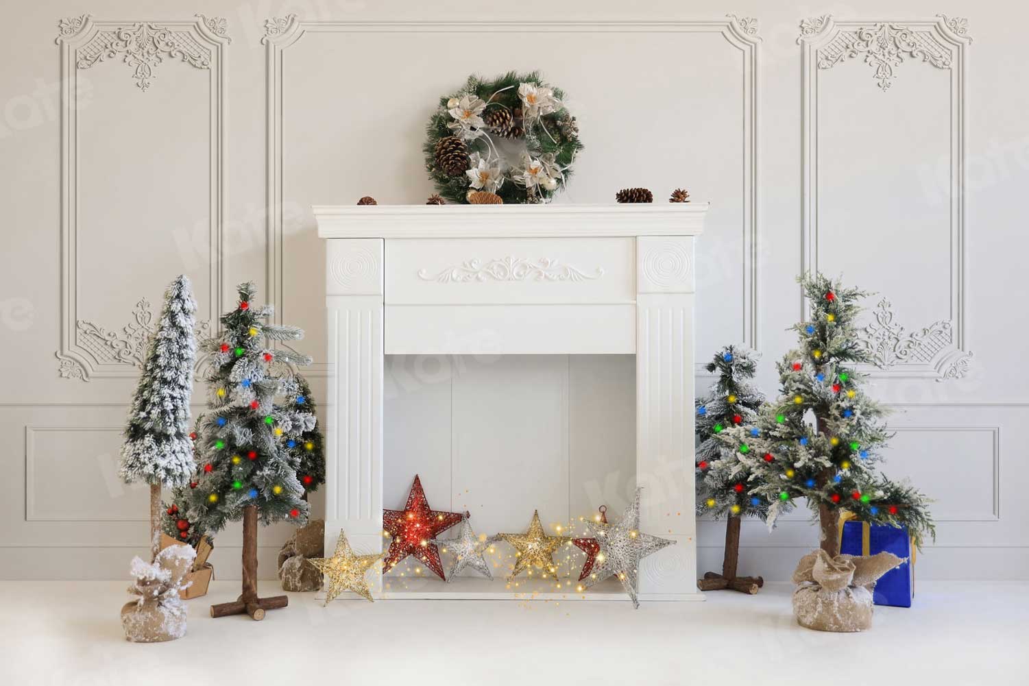 Kate Christmas Closet Winter Backdrop for Photography - Kate Backdrop