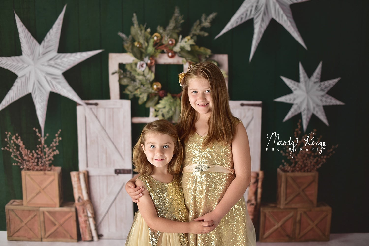 Kate Evergreen Christmas Holiday Backdrop Designed by Mandy Ringe Photography - Kate Backdrop