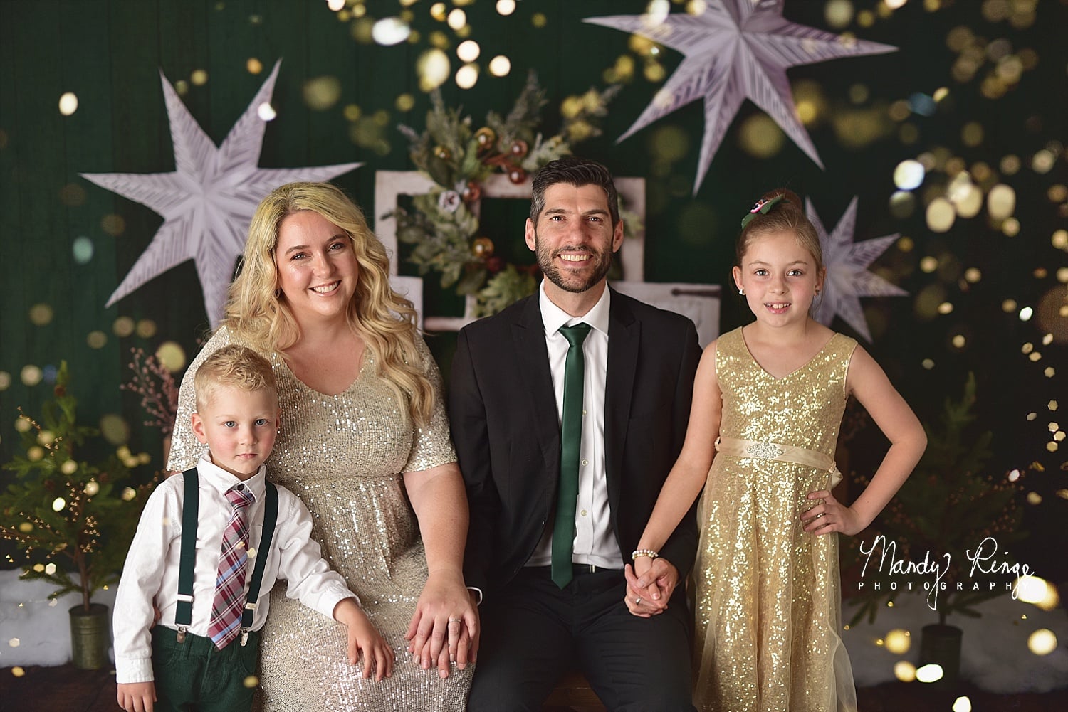 Kate Evergreen Christmas Holiday Backdrop Designed by Mandy Ringe Photography - Kate Backdrop