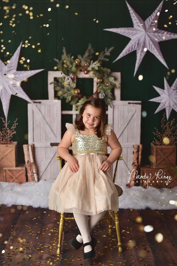 Kate Evergreen Christmas Holiday Backdrop Designed by Mandy Ringe Photography - Kate Backdrop