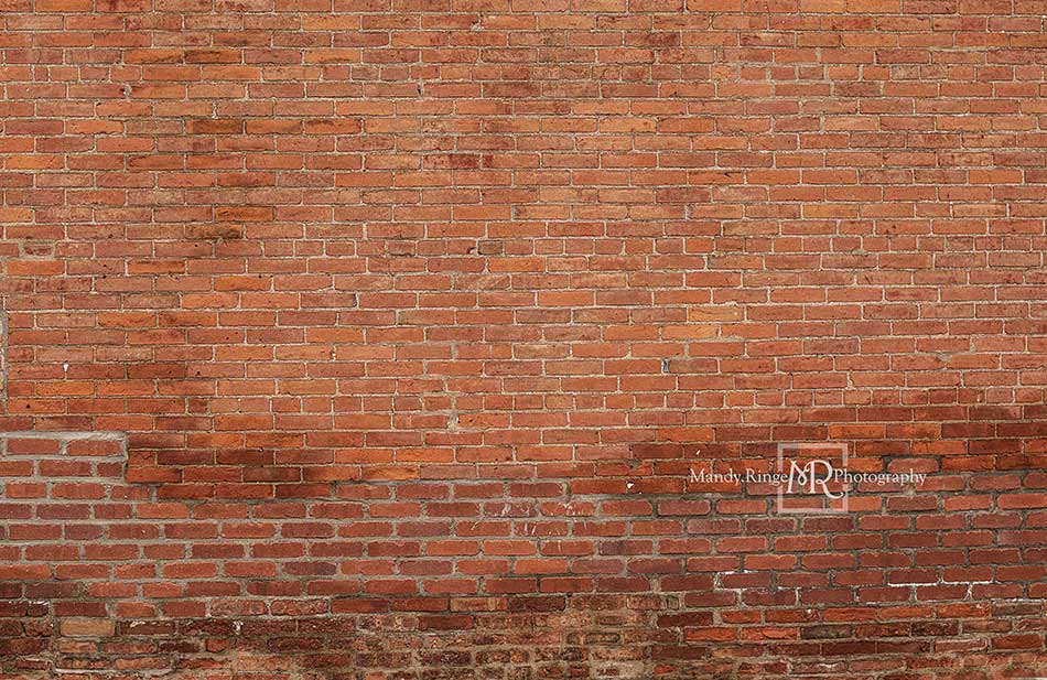 Kate Mixed Bricks Backdrop Designed by Mandy Ringe Photography - Kate Backdrop