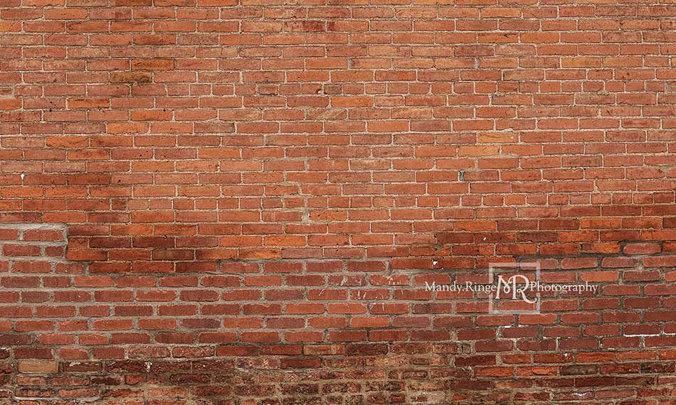 Kate Mixed Bricks Backdrop Designed by Mandy Ringe Photography - Kate Backdrop