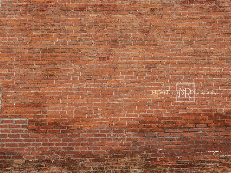 Kate Mixed Bricks Backdrop Designed by Mandy Ringe Photography - Kate Backdrop