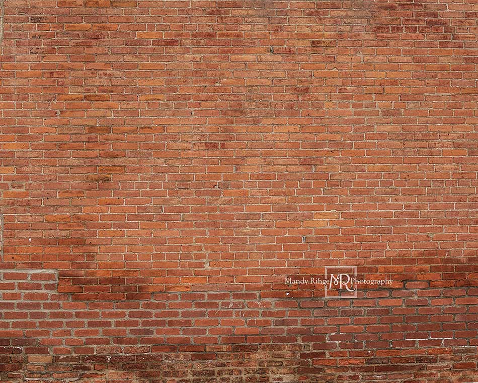 Kate Mixed Bricks Backdrop Designed by Mandy Ringe Photography - Kate Backdrop