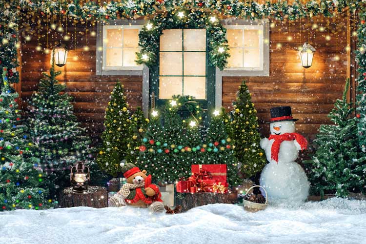 Cozy Winter Holiday Cabin Backdrop