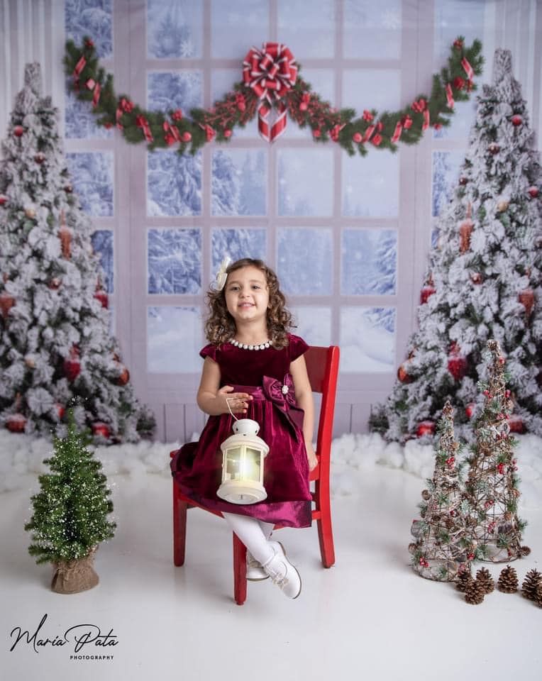 Kate Christmas Tree Winter White Window Backdrop Designed by Chain Photography - Kate Backdrop