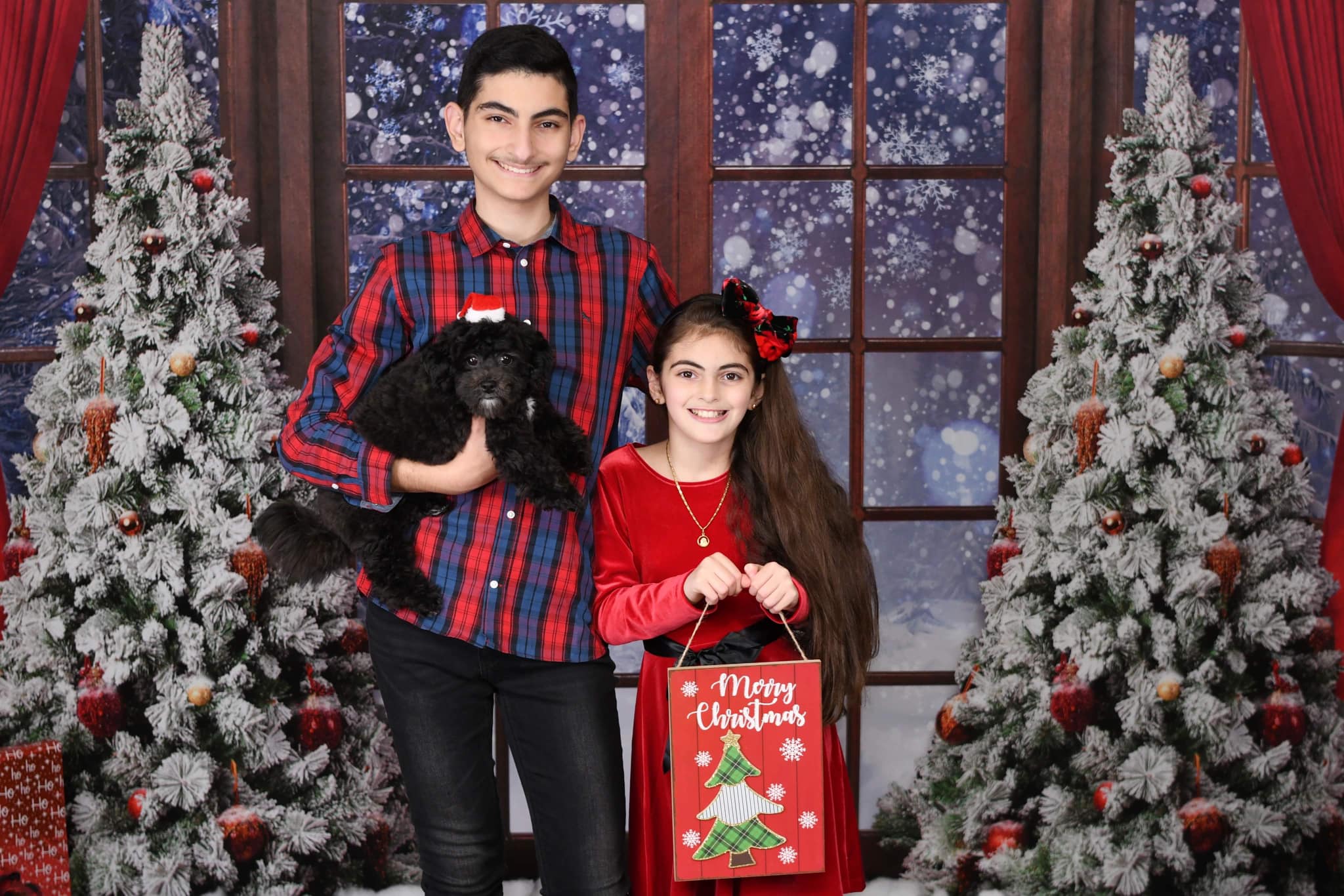 Kate Christmas Winter Snow Window Backdrop Designed by Chain Photography - Kate Backdrop